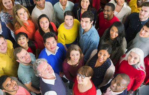 Business Services Teams Support Innovation