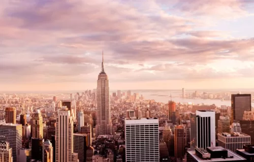 New executive leadership